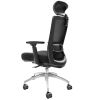 VEVOR Ergonomic Office Chair with Slide Seat, Desk Chair with Mesh Seat, Angle and Height Adjustable Home Office Chair with Back and Lumbar Support