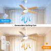 Fiberboard Ceiling Fans