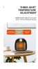 Mini Heater Indoor Small Heater Office Fast Heat Desktop Electric Heater US Standard